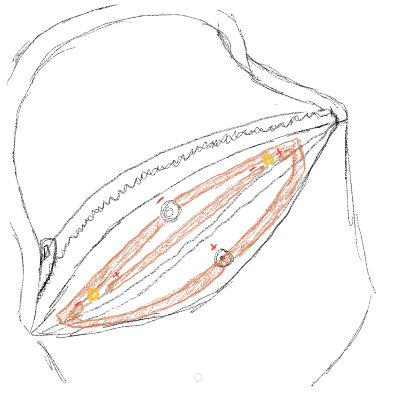 Wearable-interaction with a purse. Lights turn on when the purse pocket is opened to show contents inside.